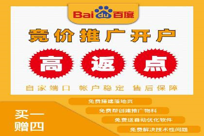 竞价推广中的数据监控与分析：某行业头部企业的成功经验